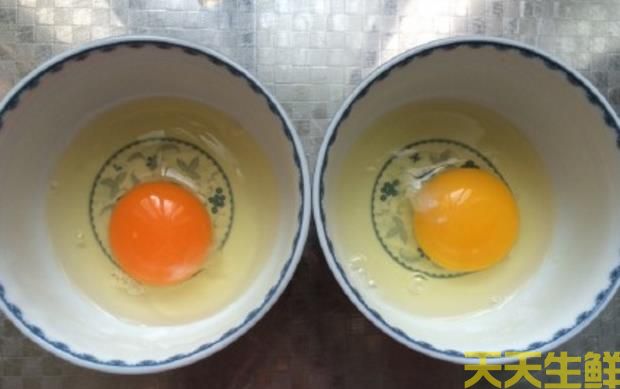 廣州蔬菜配送告訴你常見雞蛋有哪些品種？(圖2)