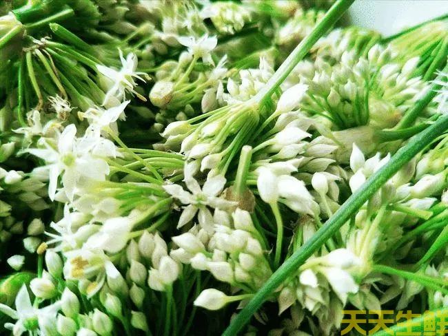 節(jié)日送花選擇蔬菜花，經(jīng)濟(jì)實(shí)惠的浪漫(圖4)
