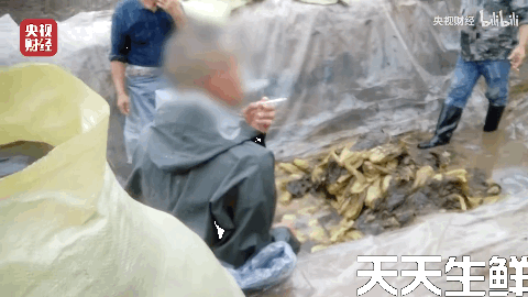 廣州蔬菜配送公司分析，土坑酸菜到底坑害了誰？(圖2)