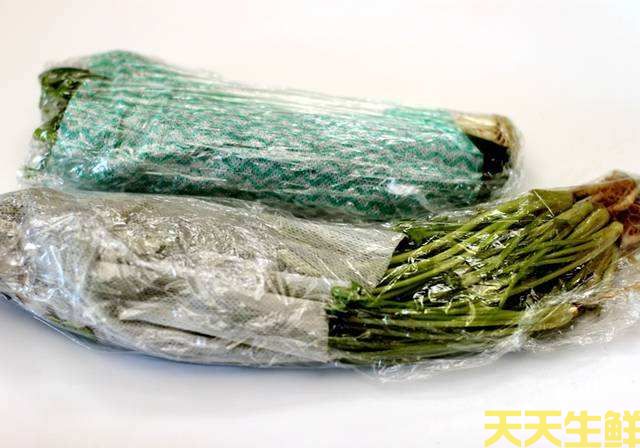 廣州蔬菜配送公司告訴你，蔬菜如何保鮮？(圖2)