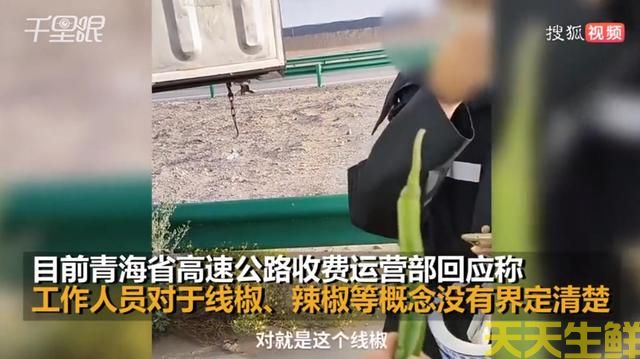 線椒不是辣椒，不能走綠色通道？廣州蔬菜配送公司有話要說(圖3)