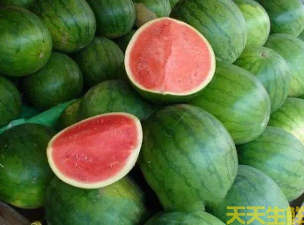 廣州蔬菜配送公司分享:常見西瓜的品種有哪些？(圖4)