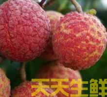 荔枝的品種有哪些？廣州蔬菜配送公司科普(圖15)