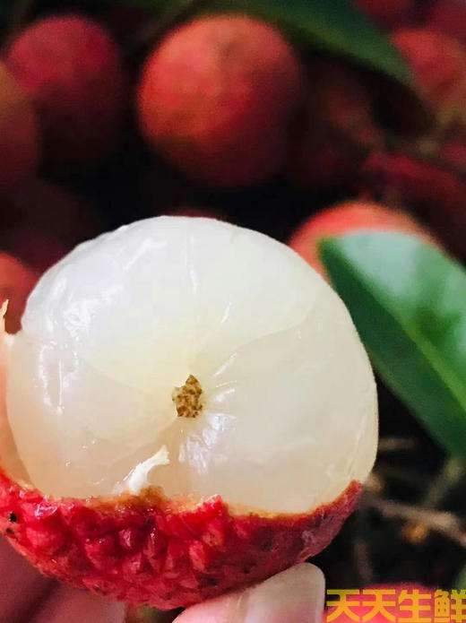 荔枝的品種有哪些？廣州蔬菜配送公司科普(圖16)