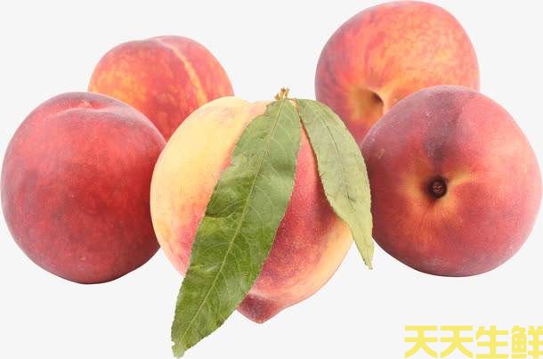 夏季炎熱吃什么水果好？廣州蔬菜配送公司分享6種消暑水果(圖2)